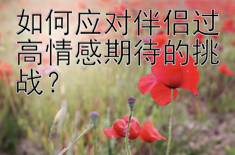 如何应对伴侣过高情感期待的挑战？